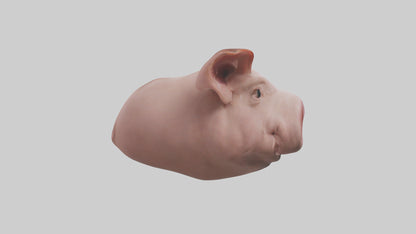 Pig Snout Model VR / AR / low-poly