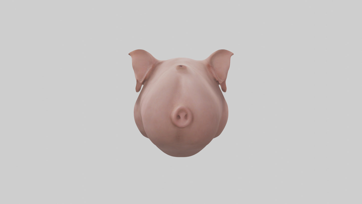 Pig Snout Model VR / AR / low-poly