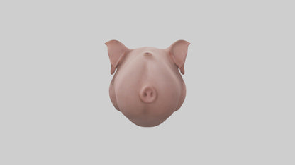 Pig Snout Model VR / AR / low-poly