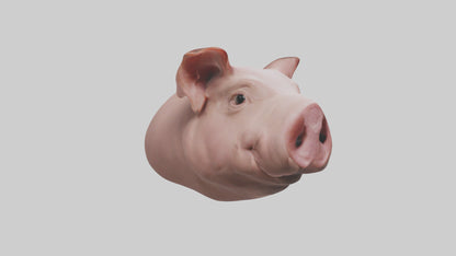 Pig Snout Model VR / AR / low-poly