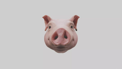 Pig Snout Model VR / AR / low-poly