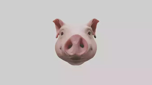 Pig Snout Model VR / AR / low-poly