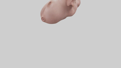 Pig Snout Model VR / AR / low-poly