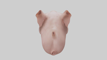 Pig Snout Model VR / AR / low-poly