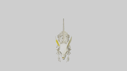 3D model Pika Skeleton model VR / AR / low-poly