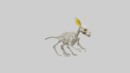 3D model Pika Skeleton model VR / AR / low-poly