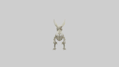 3D model Pika Skeleton model VR / AR / low-poly