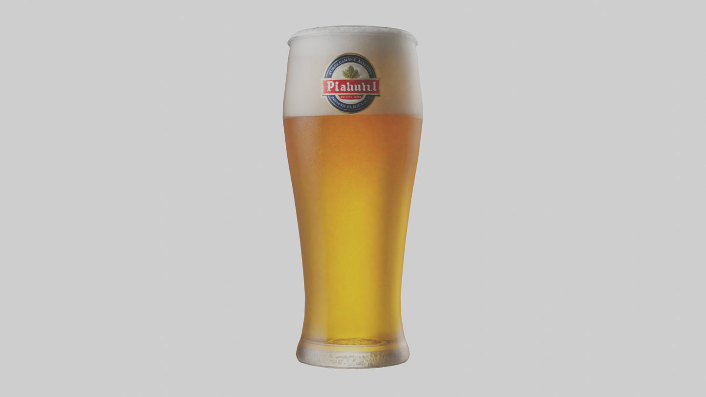 3D model Pilsner beer model VR / AR / low-poly