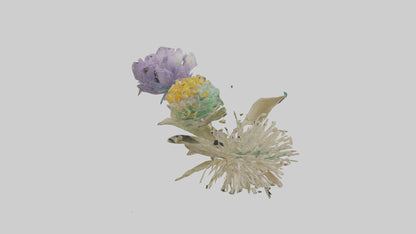 3D model Pincushion flower model VR / AR / low-poly