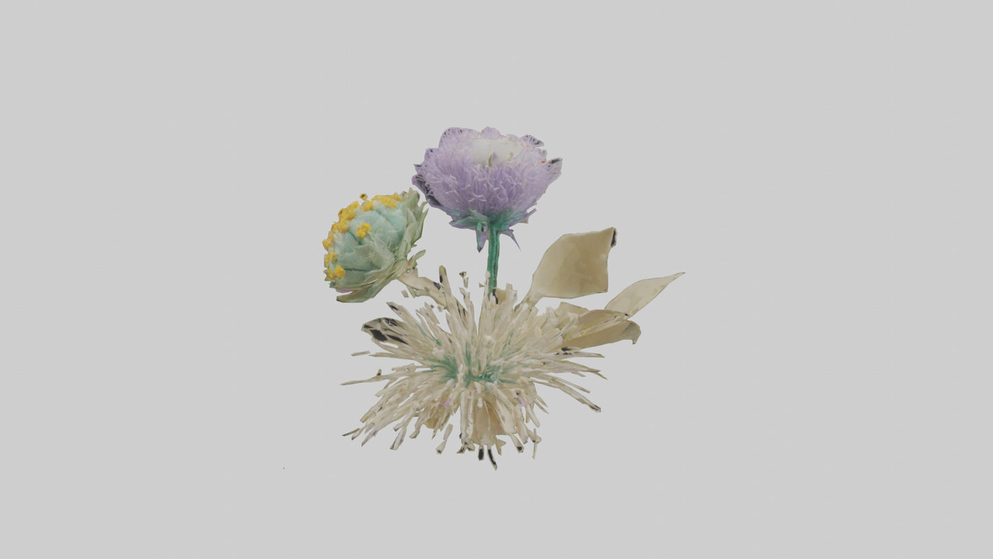 3D model Pincushion flower model VR / AR / low-poly