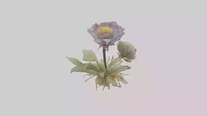3D model Pincushion flower model VR / AR / low-poly