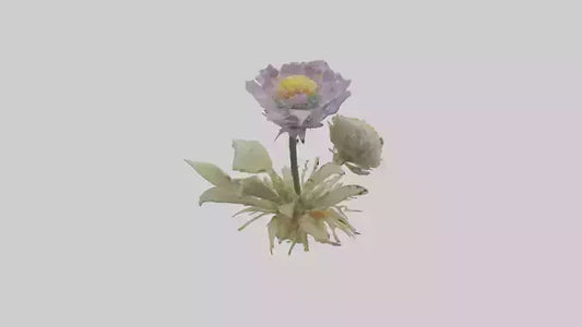 3D model Pincushion flower model VR / AR / low-poly