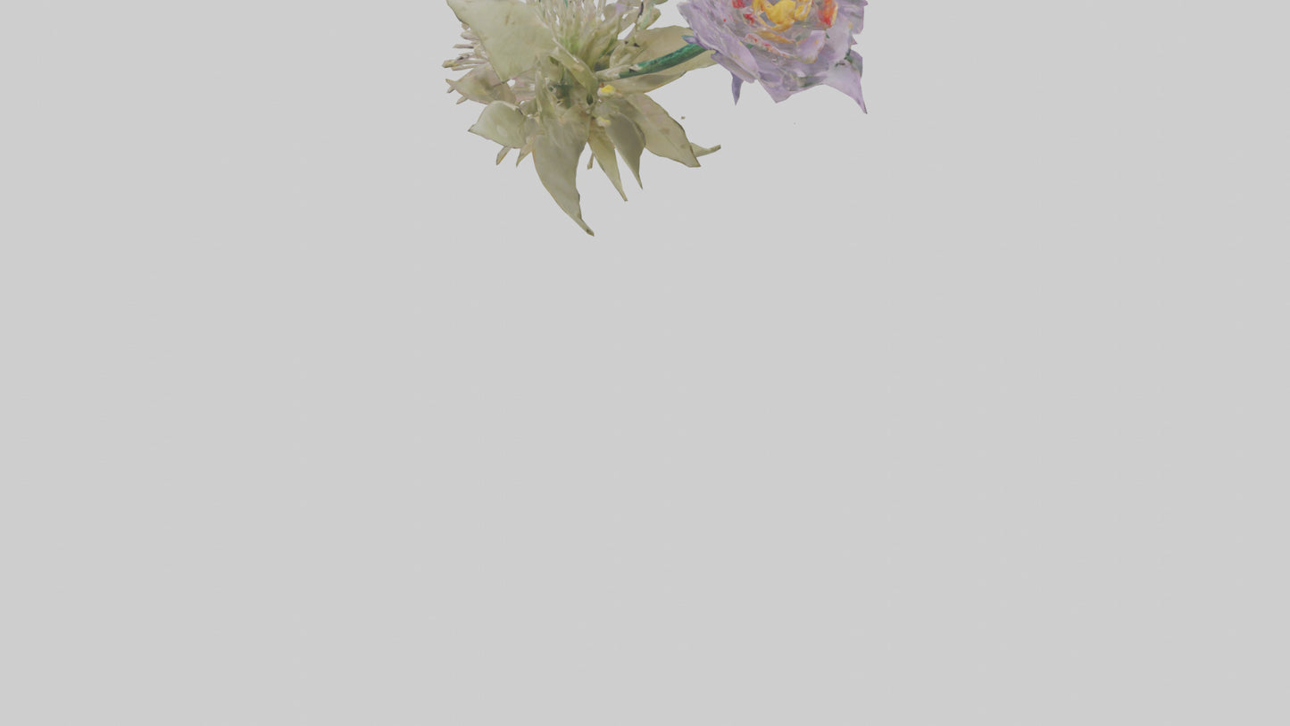 3D model Pincushion flower model VR / AR / low-poly