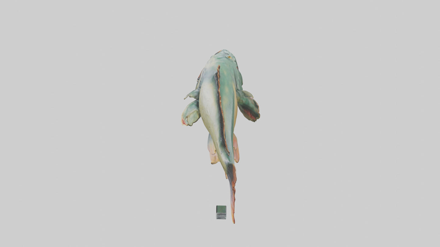 3D model Piranha statue model VR / AR / low-poly