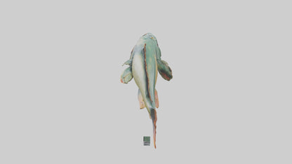 3D model Piranha statue model VR / AR / low-poly