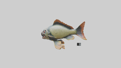 3D model Piranha statue model VR / AR / low-poly