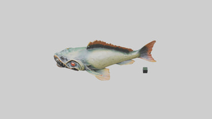 3D model Piranha statue model VR / AR / low-poly
