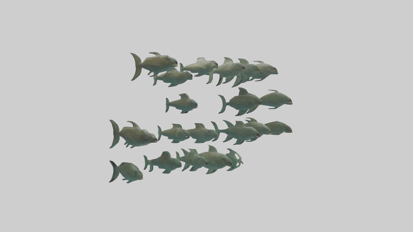 3D model Piranha swimming in group model VR / AR / low-poly