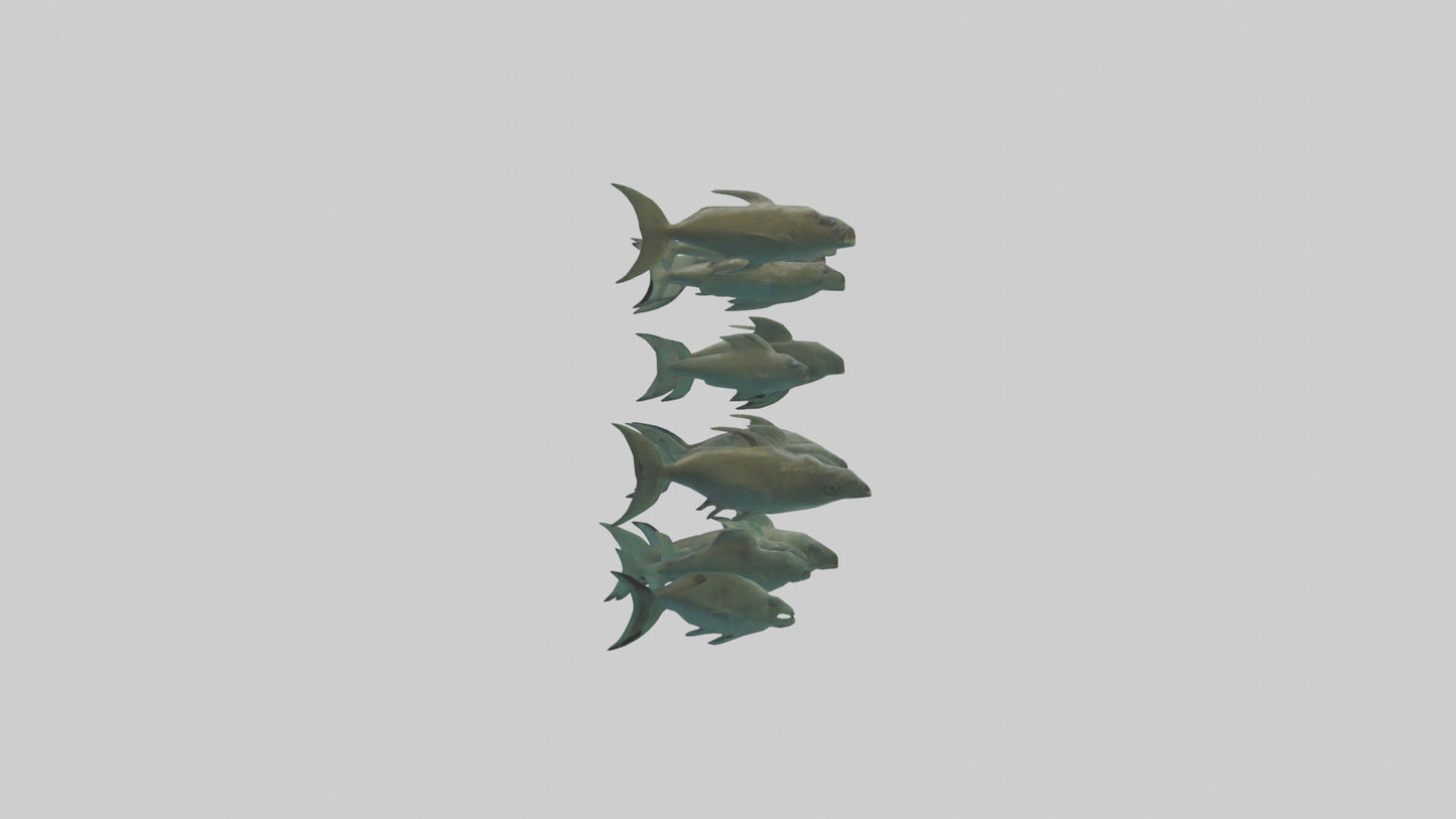 3D model Piranha swimming in group model VR / AR / low-poly