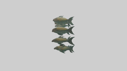 3D model Piranha swimming in group model VR / AR / low-poly