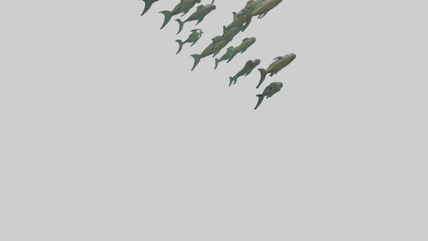 3D model Piranha swimming in group model VR / AR / low-poly