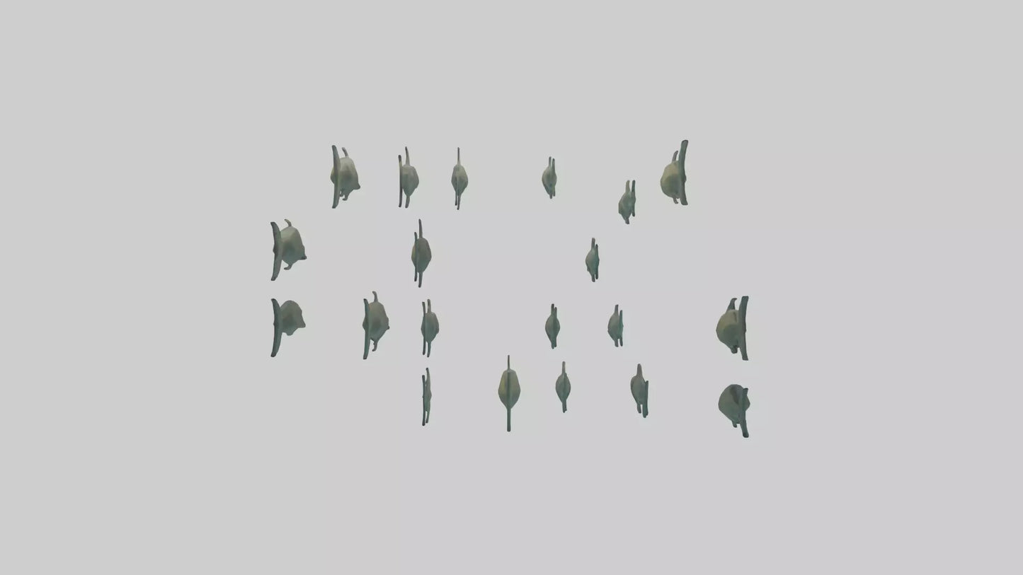 3D model Piranha swimming in group model VR / AR / low-poly