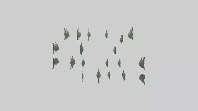 3D model Piranha swimming in group model VR / AR / low-poly