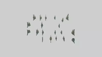 3D model Piranha swimming in group model VR / AR / low-poly