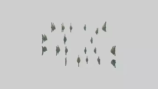 3D model Piranha swimming in group model VR / AR / low-poly