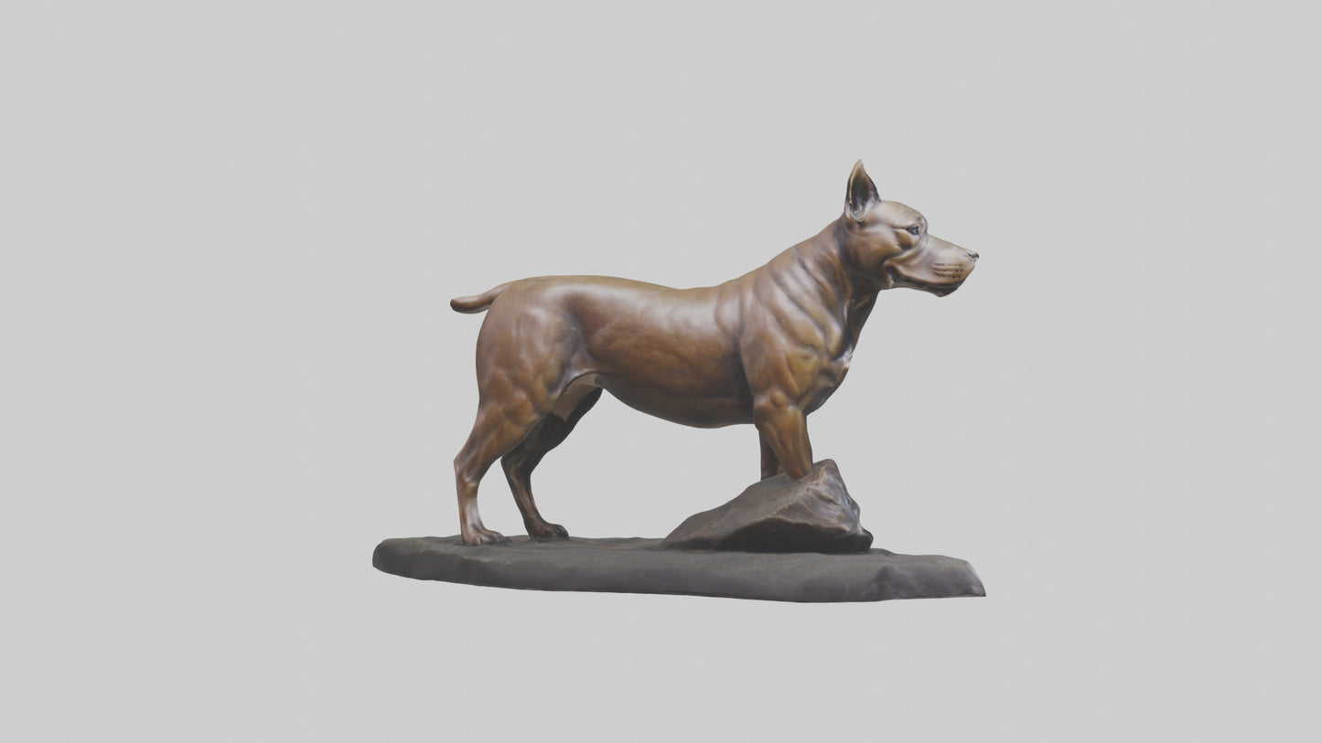 3D model Pit Bull Terrier statue model VR / AR / low-poly