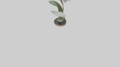 3D model Plant and Stem Movement Sculpture model VR / AR / low-poly