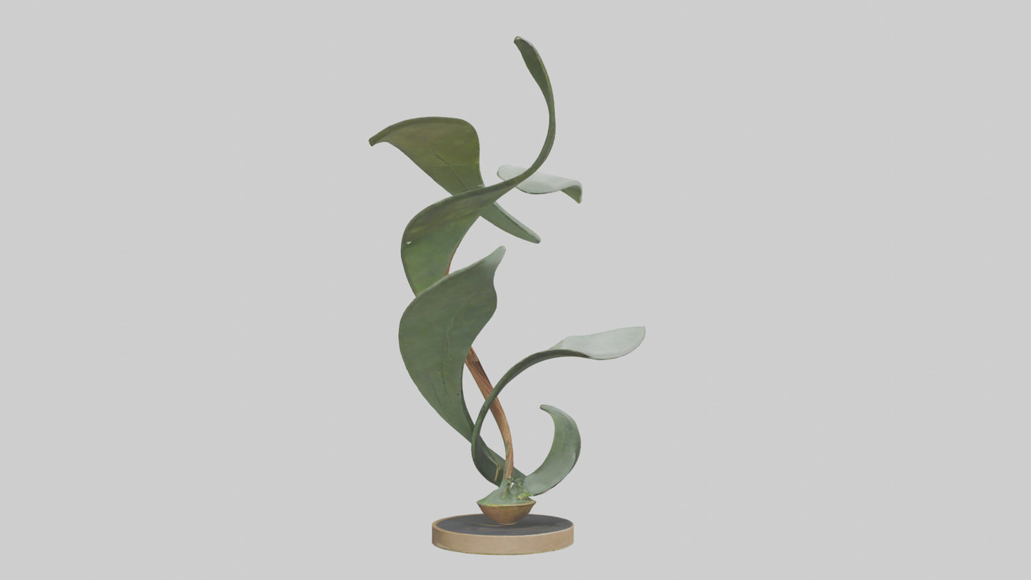 3D model Plant and Stem Movement Sculpture model VR / AR / low-poly