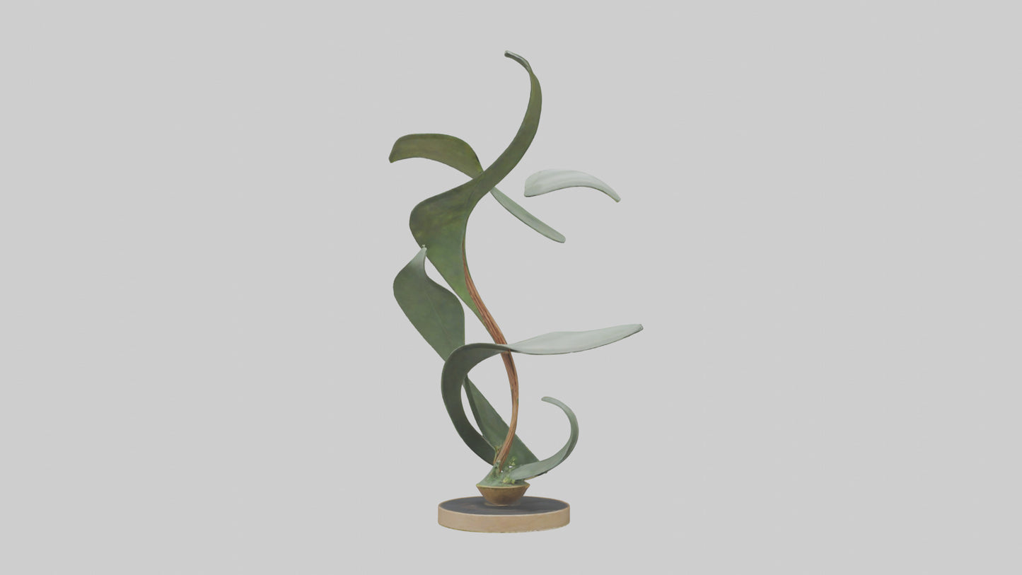 3D model Plant and Stem Movement Sculpture model VR / AR / low-poly