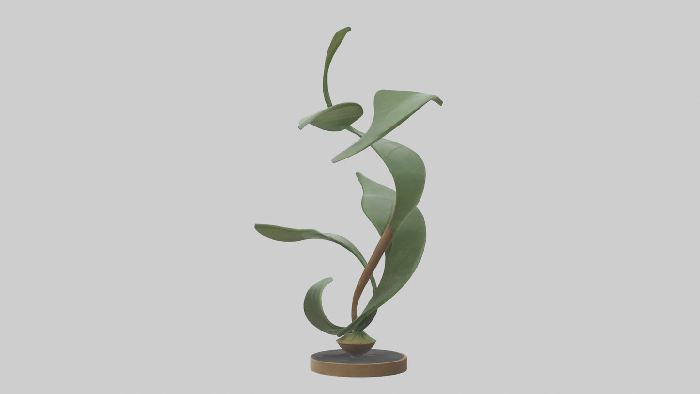 3D model Plant and Stem Movement Sculpture model VR / AR / low-poly