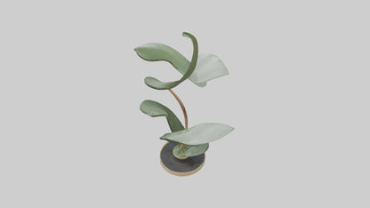 3D model Plant and Stem Movement Sculpture model VR / AR / low-poly