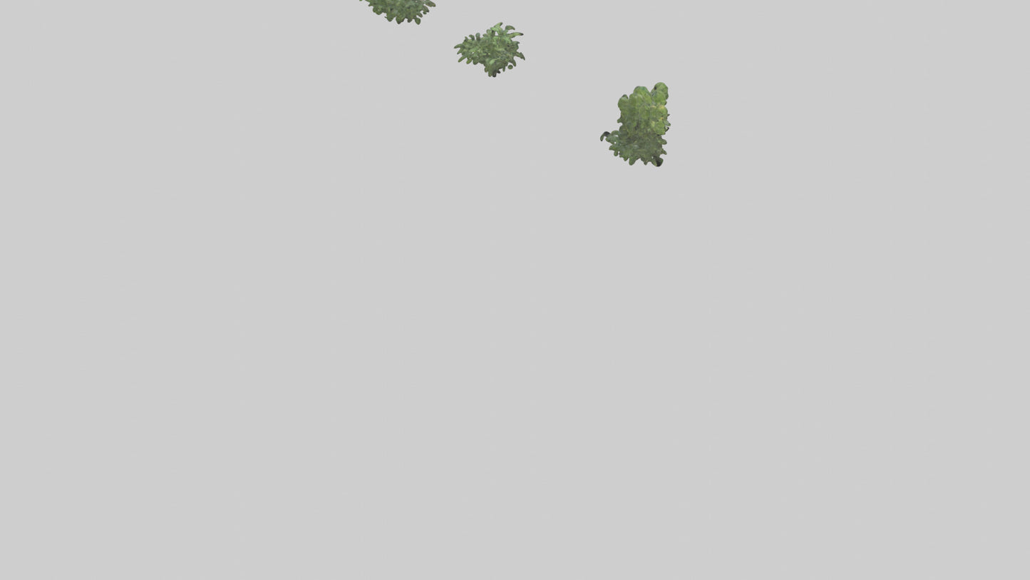 3D model Plant Room VR / AR / low-poly