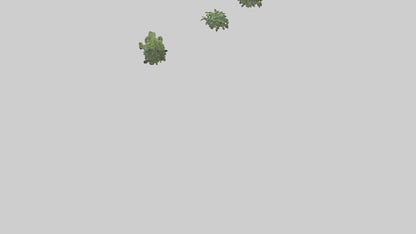 3D model Plant Room VR / AR / low-poly