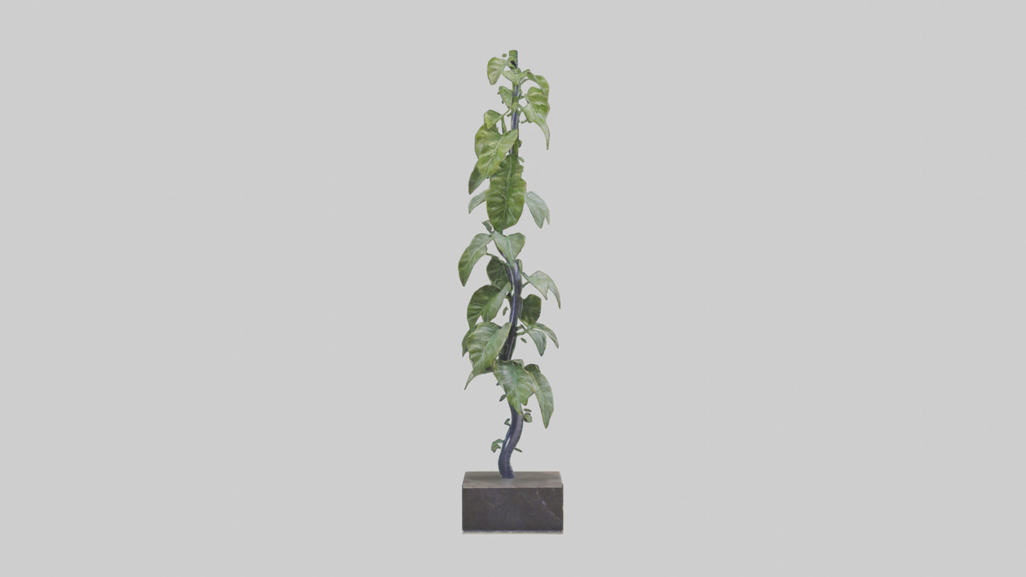 Plant Spiral Sculpture model VR / AR / low-poly