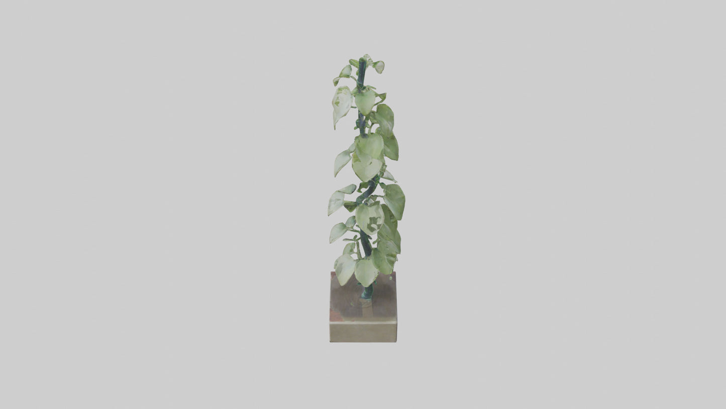 Plant Spiral Sculpture model VR / AR / low-poly