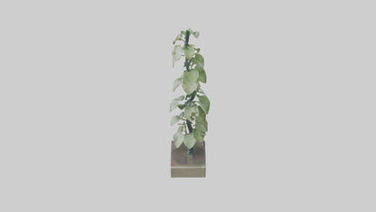Plant Spiral Sculpture model VR / AR / low-poly