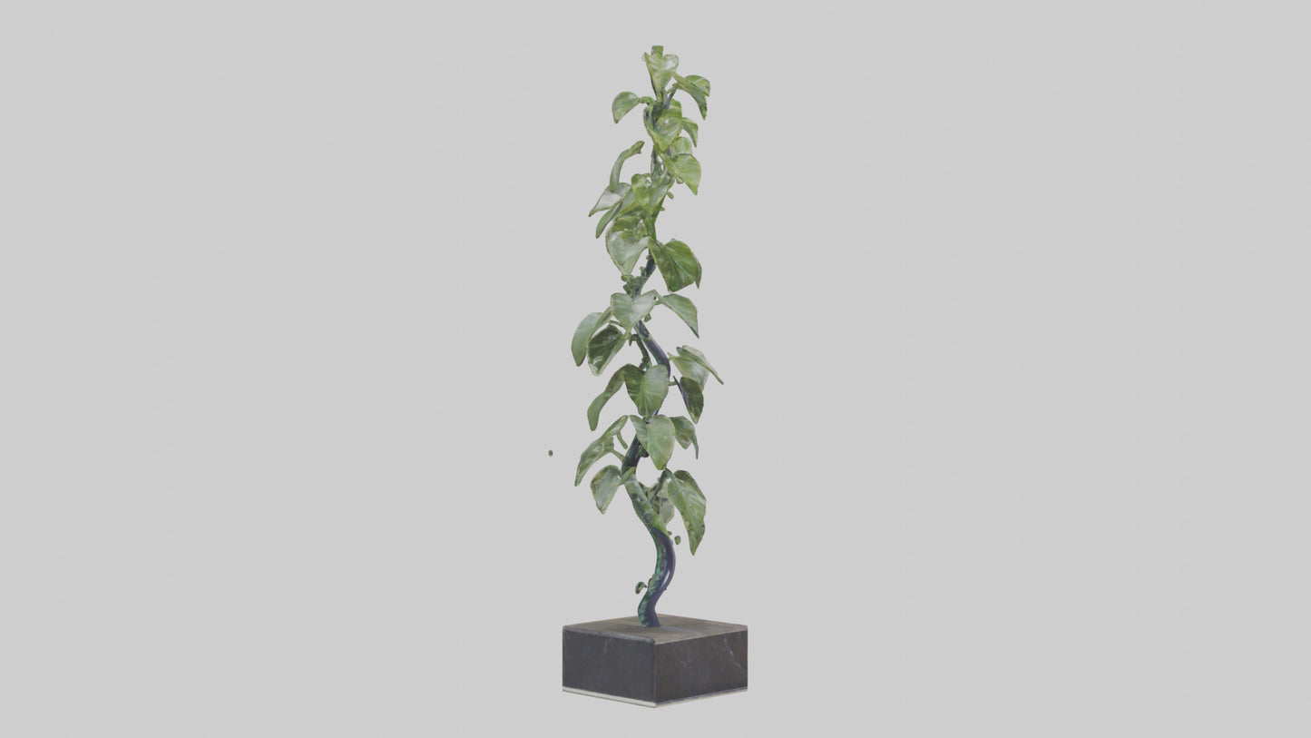 Plant Spiral Sculpture model VR / AR / low-poly