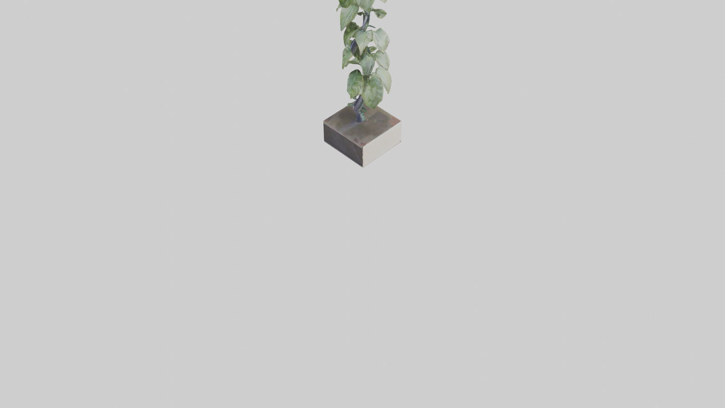 Plant Spiral Sculpture model VR / AR / low-poly