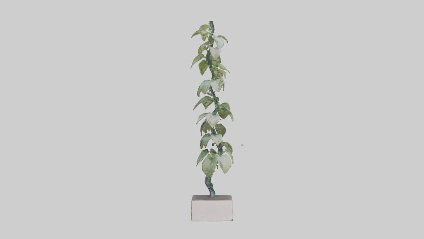 Plant Spiral Sculpture model VR / AR / low-poly