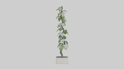 Plant Spiral Sculpture model VR / AR / low-poly