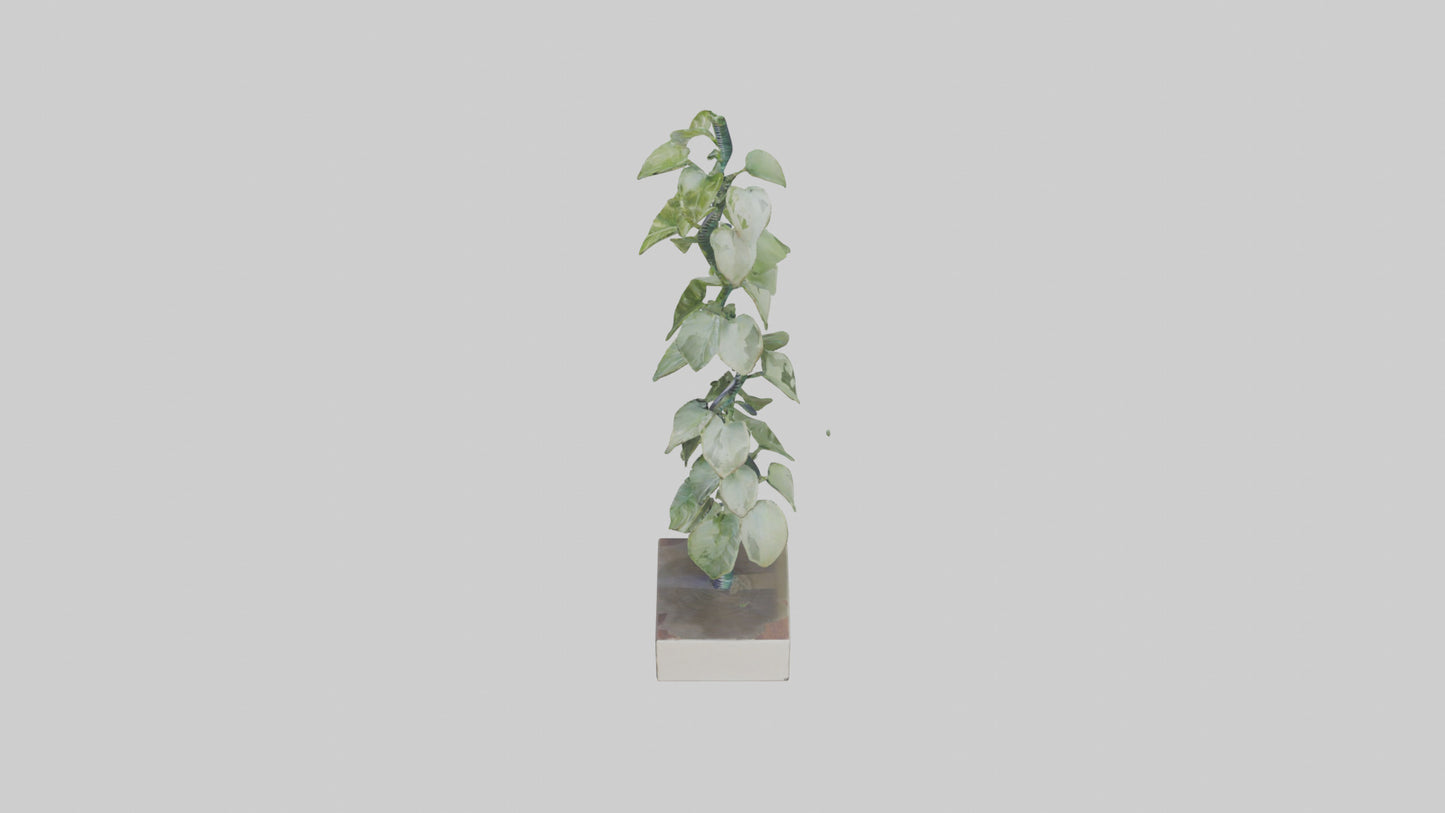 Plant Spiral Sculpture model VR / AR / low-poly