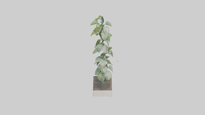 Plant Spiral Sculpture model VR / AR / low-poly
