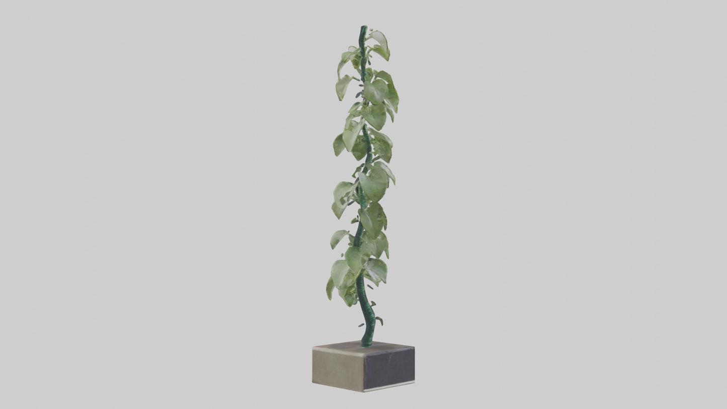 Plant Spiral Sculpture model VR / AR / low-poly