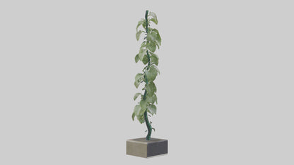 Plant Spiral Sculpture model VR / AR / low-poly