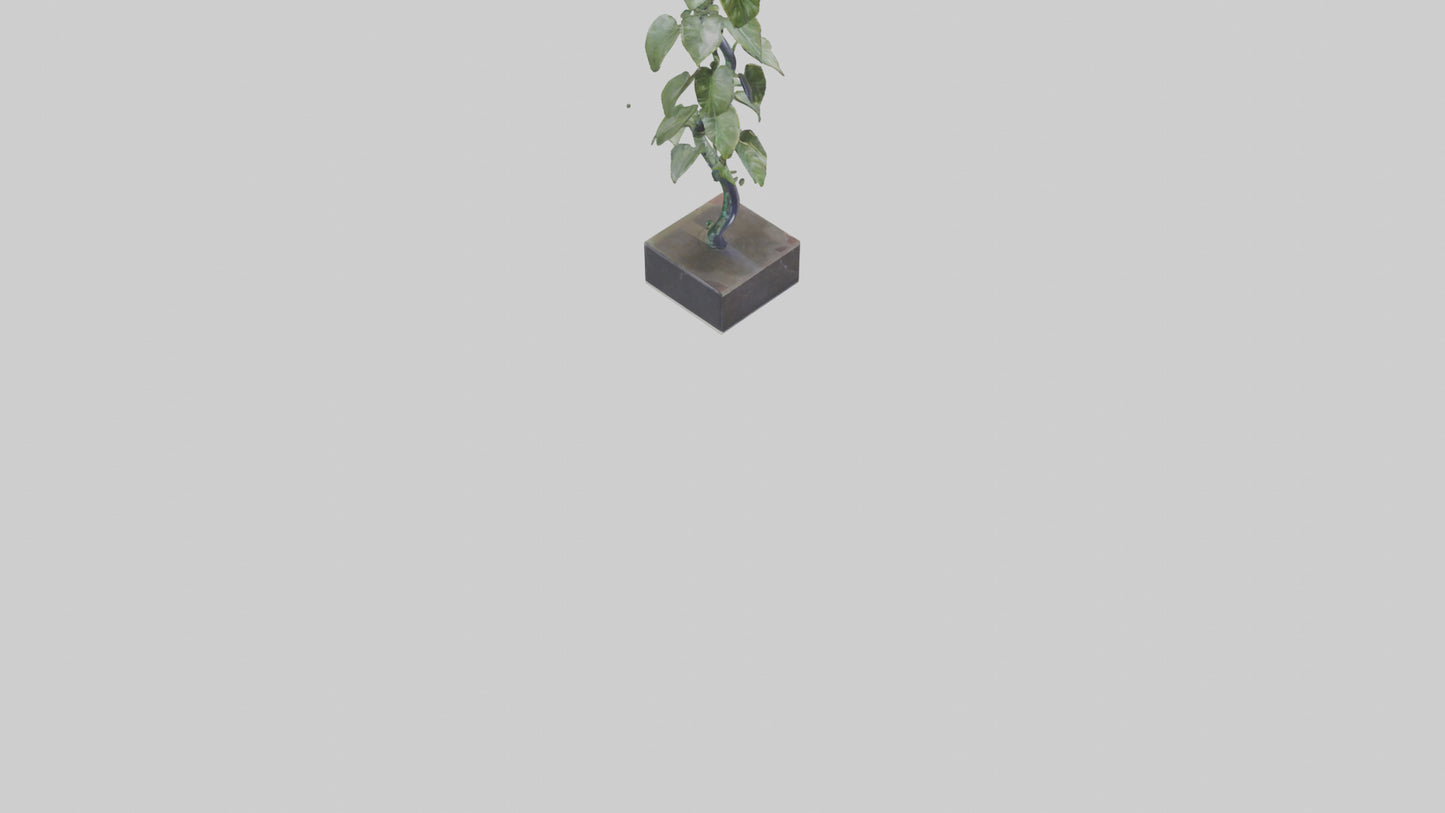 Plant Spiral Sculpture model VR / AR / low-poly