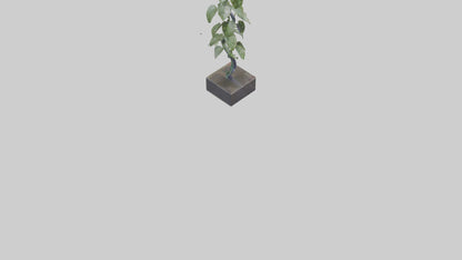 Plant Spiral Sculpture model VR / AR / low-poly